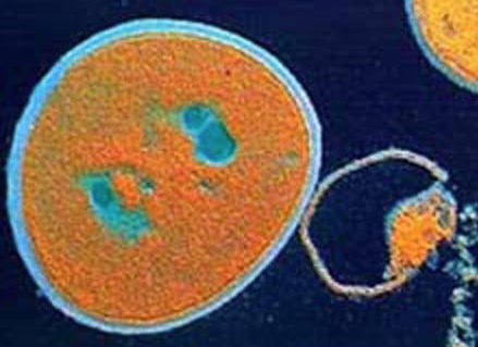 Skärmavbild 2014-11-24 kl. 19.13.58